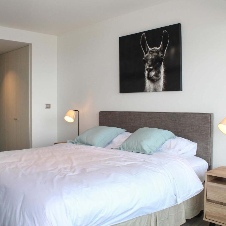 HOM I Espectacular Depto 1D1B, y Estacionamiento Privado PNM 1113 - Apartamento - 13