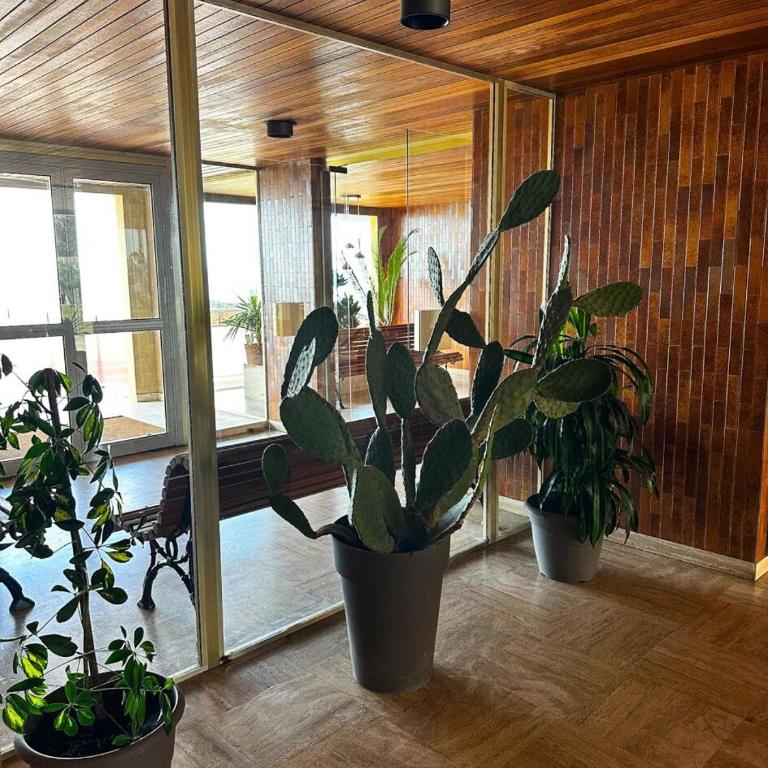 Résidence Caravelle - Arcachon Pereire - Studio avec accès direct à la plage MAE-8344 - Monolocale - 12