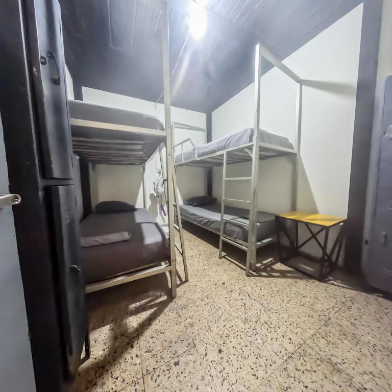 Canela Hostel Medellin - Bed in 4-Bed Dormitory Room - 5