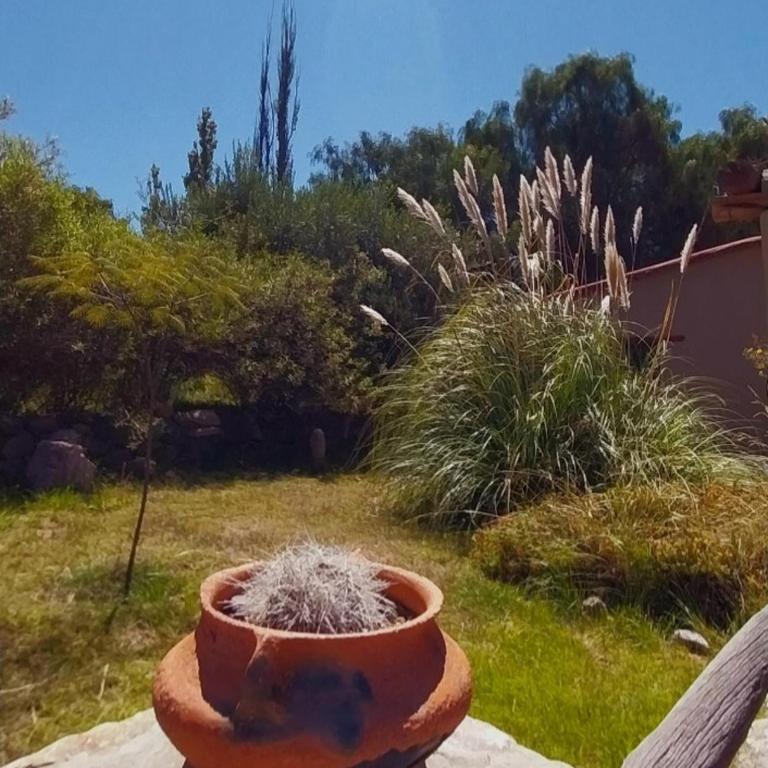 Casa Tilcara - Two-Bedroom House - 14