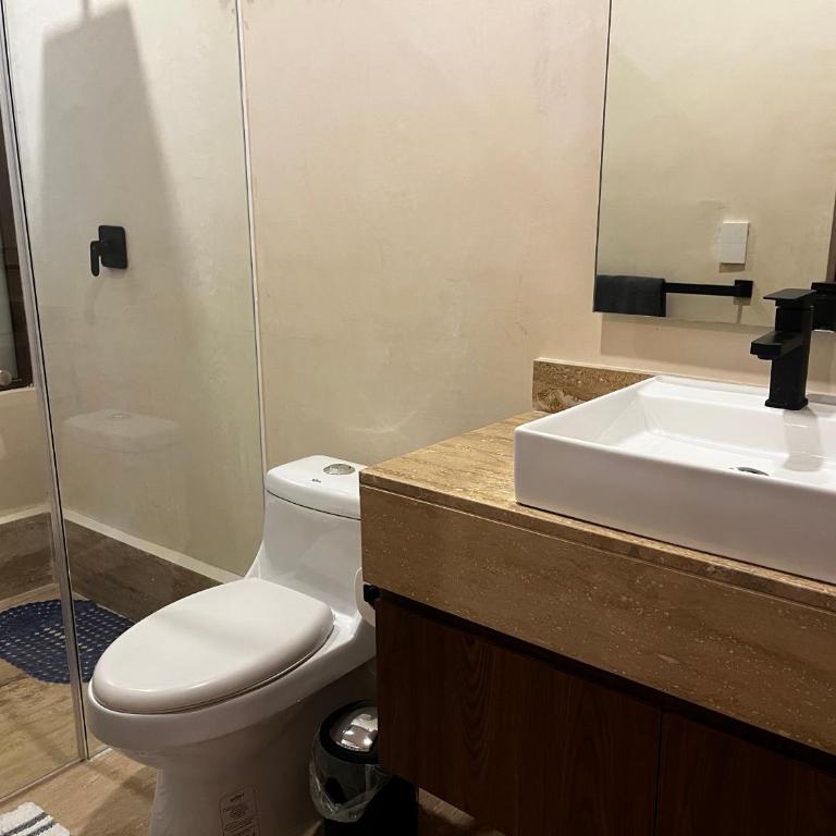 Departamento Planta Baja 01 By Rotamundos - Apartamento de 1 dormitorio - 8