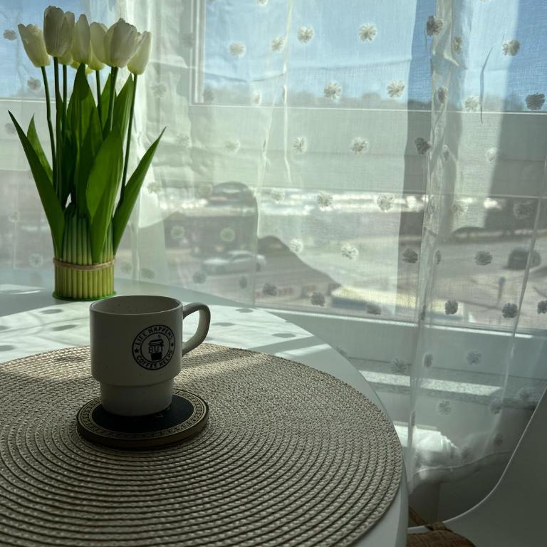 Stan na dan Tuzla - One-Bedroom Apartment - 8