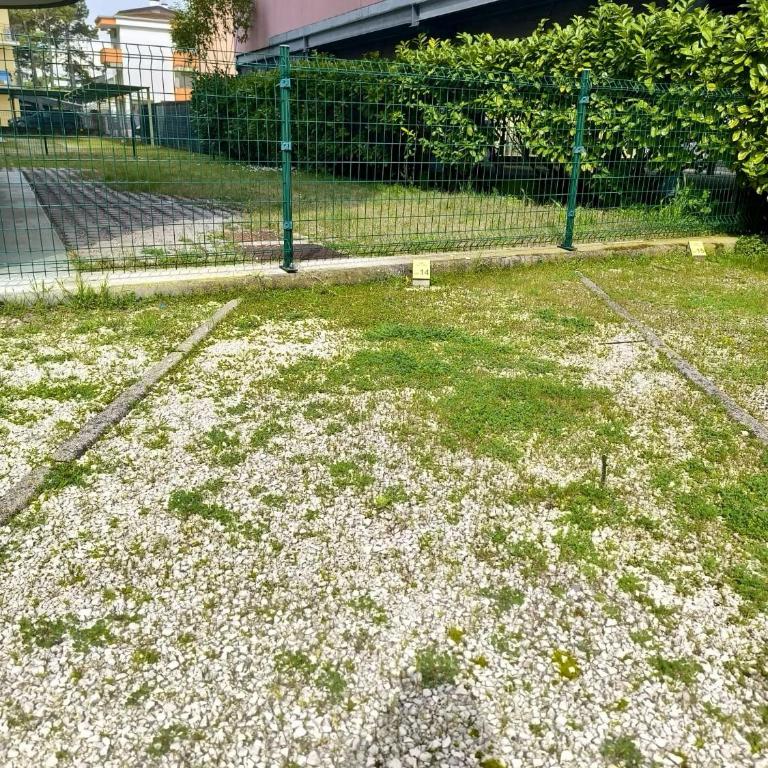 Appartamento Delfino - Appartamento con 1 Camera da Letto - 9