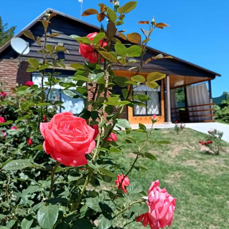 La Casa de Las Flores Potrero de los Funes - Casa - 26