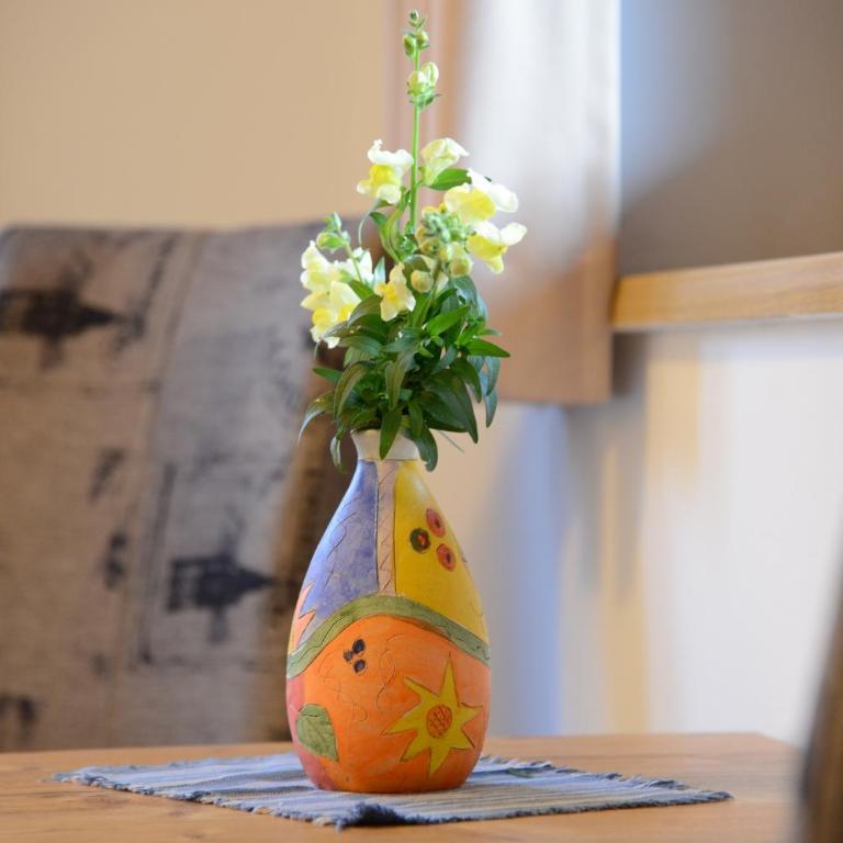 Appartement Albert und Helene Koller - Studio - 5