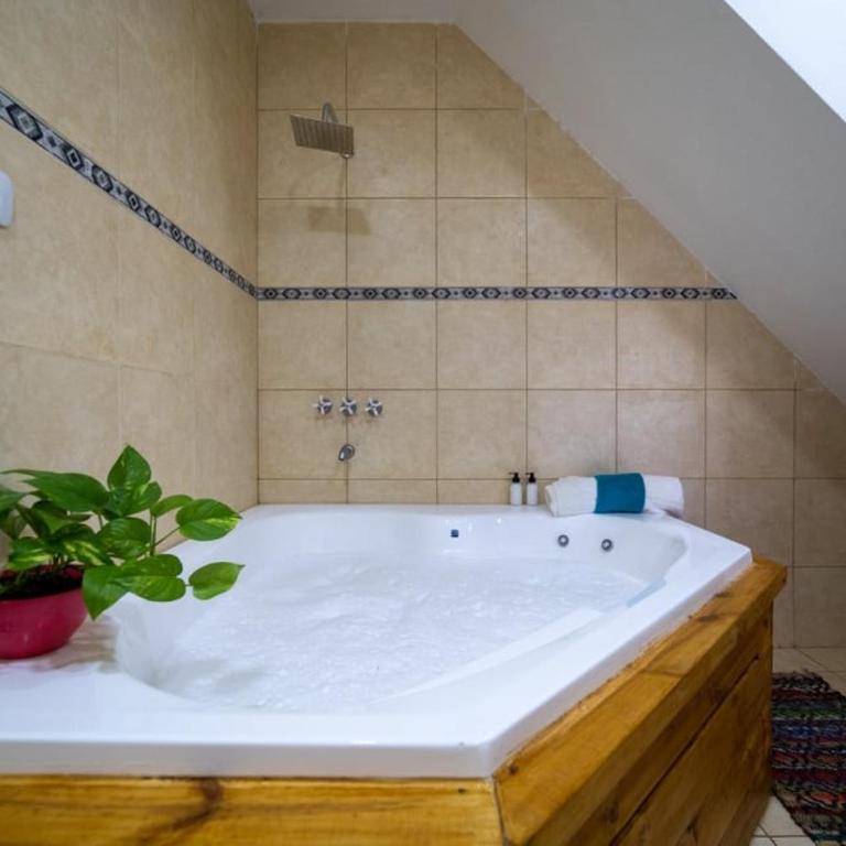 Buenos Aires de Ezeiza - Apartamento Deluxe - 4