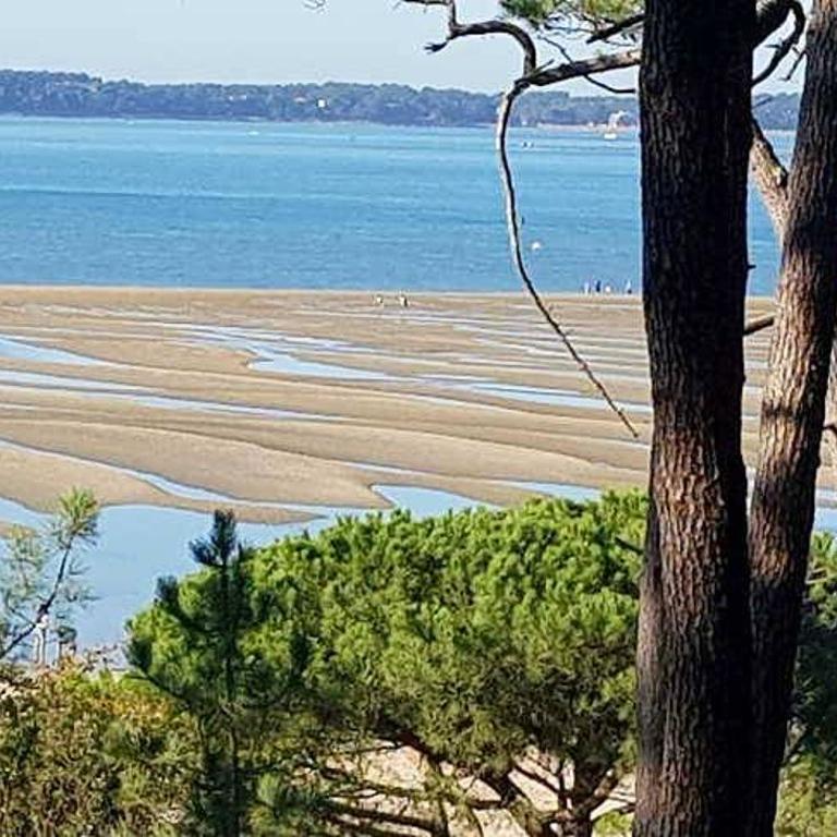 Vue imprenable Bassin d'Arcachon - Studio - Vue sur Océan - 14