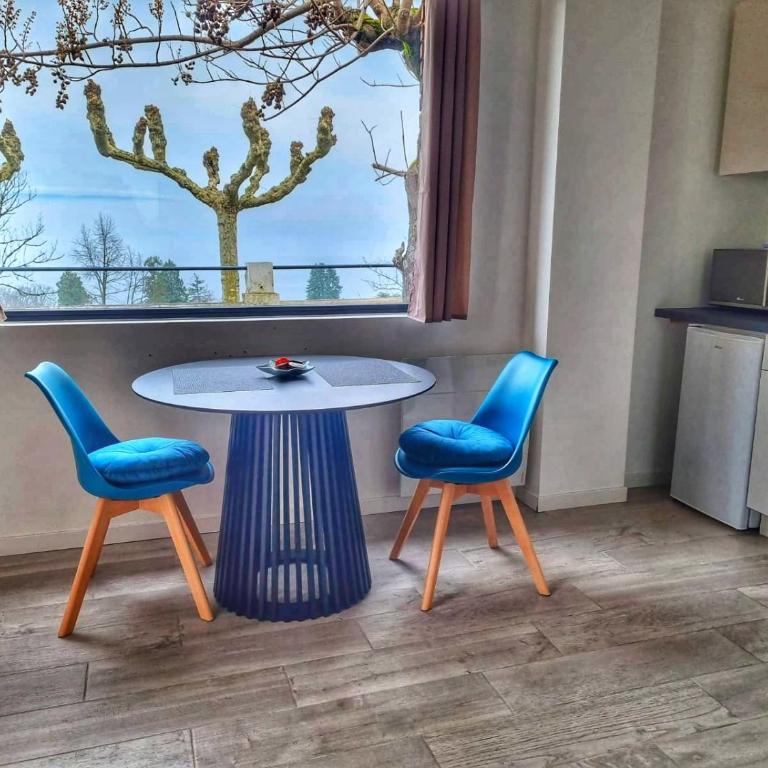 Appartement Cozy 2 Panoramique Lac Léman Thonon-Les-Bains - Studio - 4
