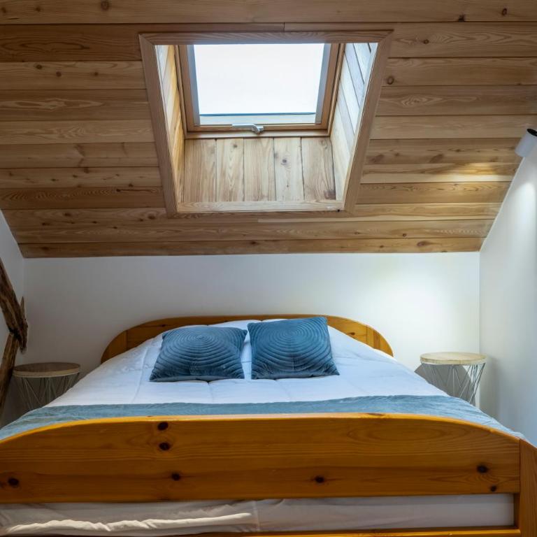 Pépite Alpine - Centre ville - WIFI - Apartment - 39