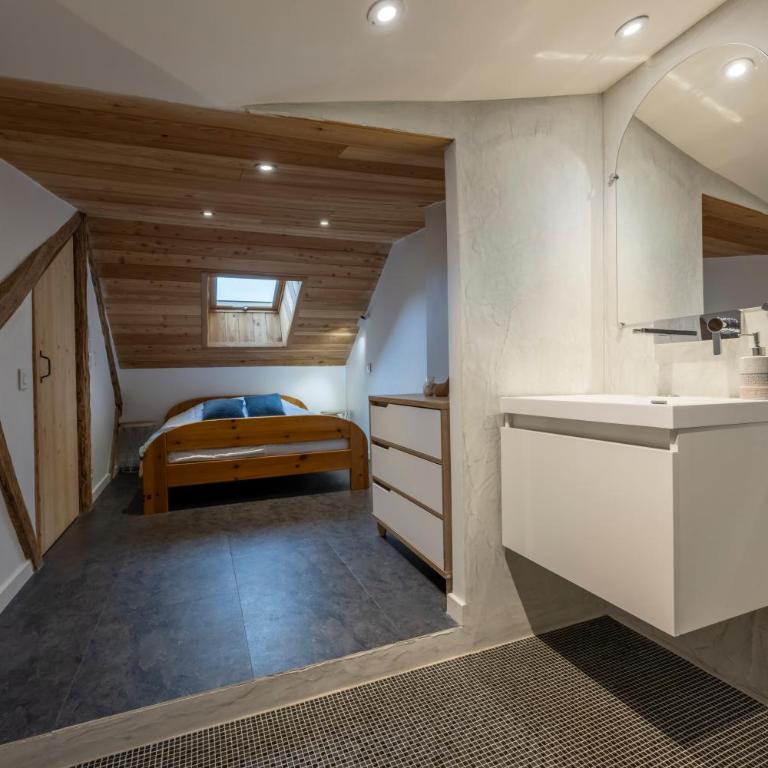Pépite Alpine - Centre ville - WIFI - Apartment - 38
