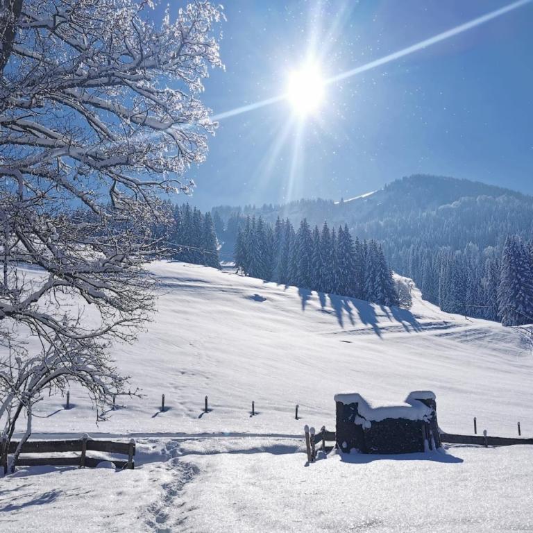 Konstanzer Bergblick mit Wintergarten - Apartment mit 2 Schlafzimmern - 39