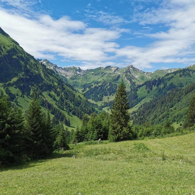 Konstanzer Bergblick mit Wintergarten - Apartment mit 2 Schlafzimmern - 40