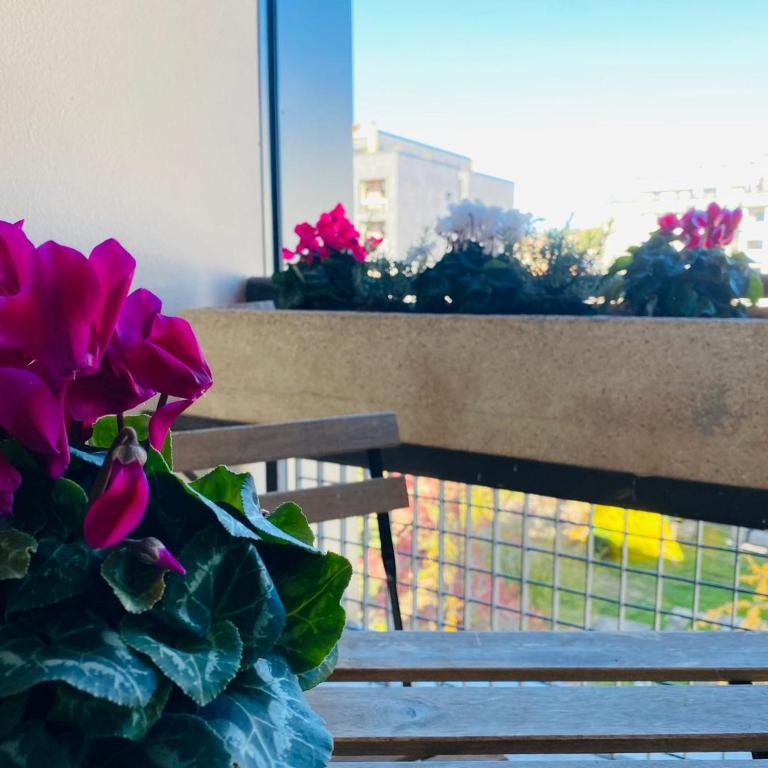 Al quinto Cielo - Appartamento con 2 Camere da Letto - 19