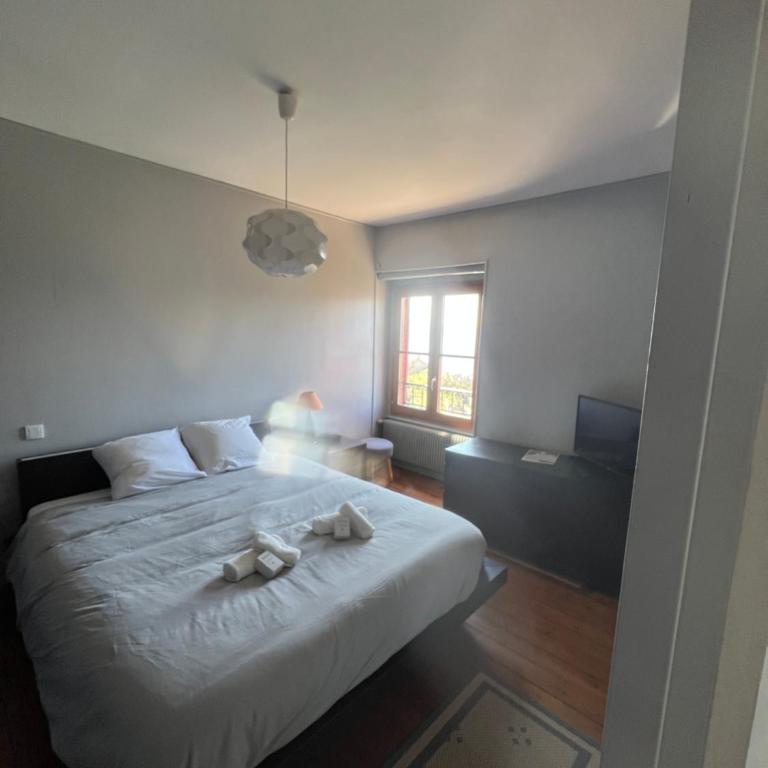 Les terrasses du Rhône - Doppelzimmer - 2