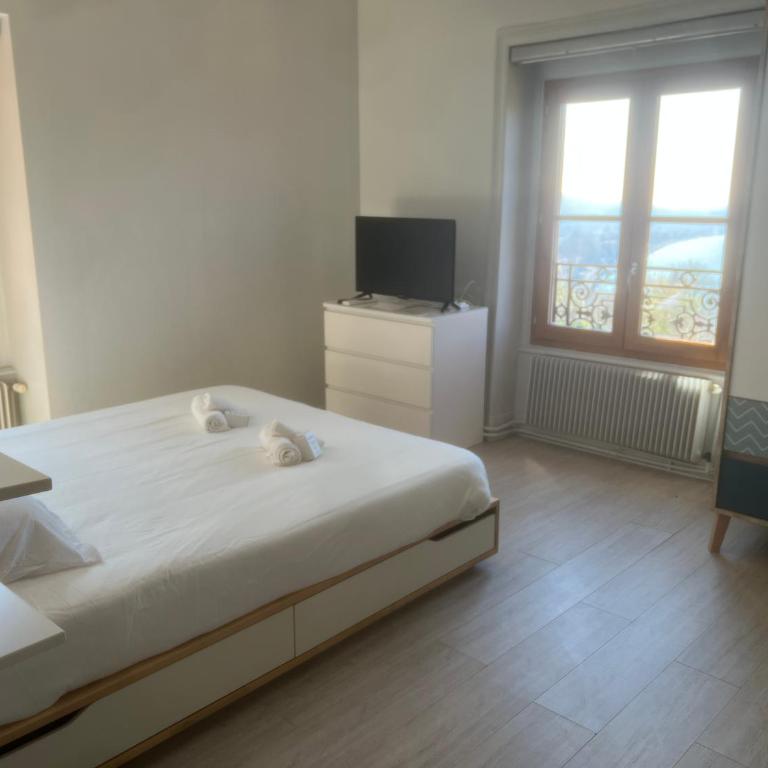 Les terrasses du Rhône - Doppelzimmer - 1
