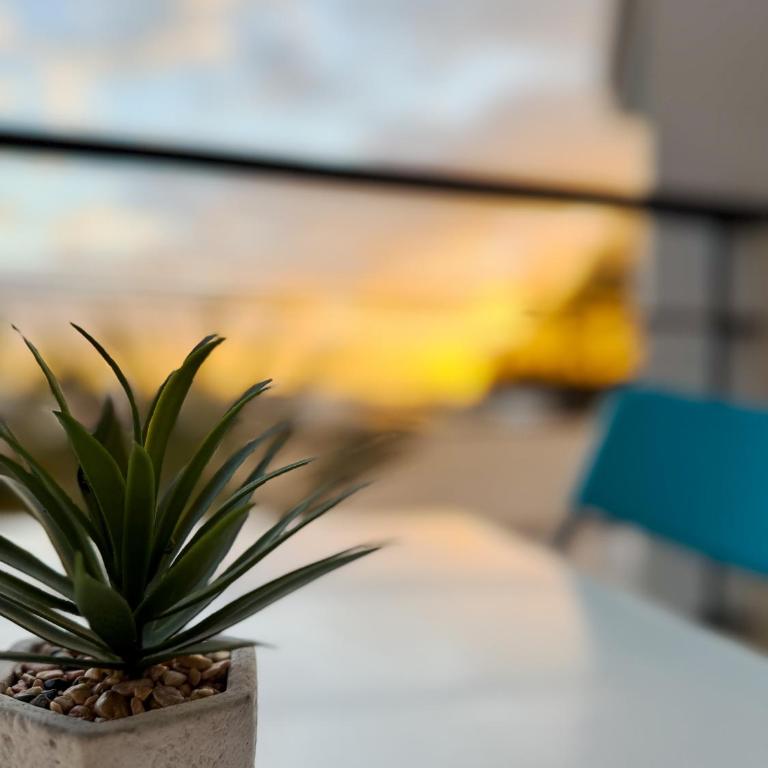 La Estrella 22 - Apartamento de 1 dormitorio - 20