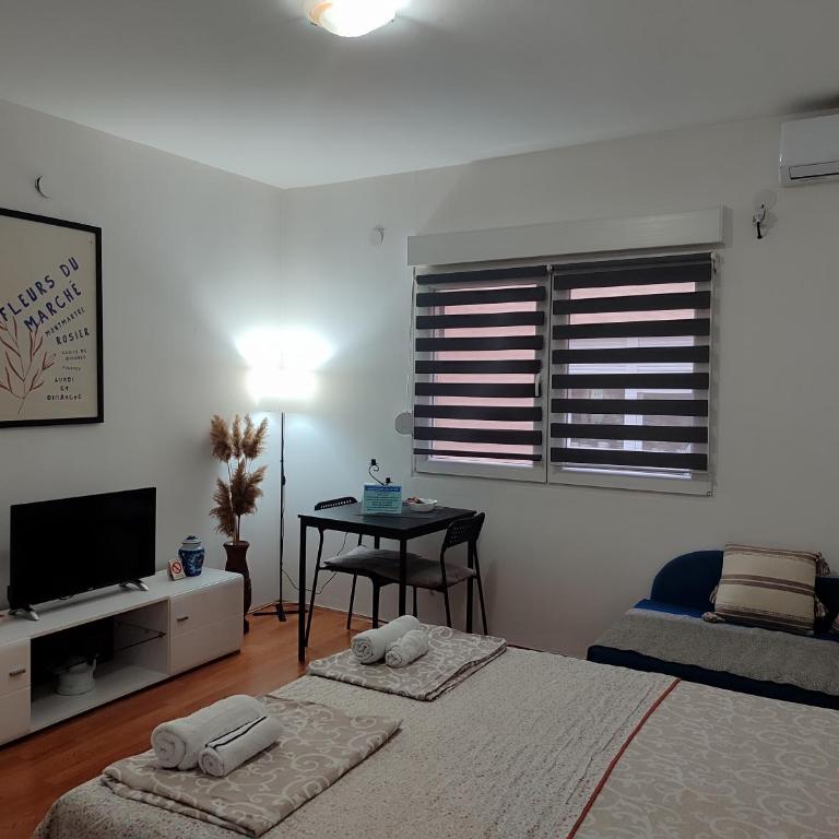 Relax Apartmani - blizu Neuromedic Niš - Deluks Studio - 4