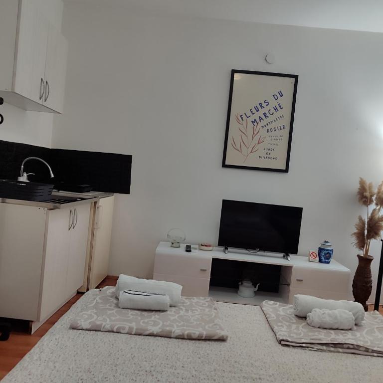 Relax Apartmani - blizu Neuromedic Niš - Deluks Studio - 5