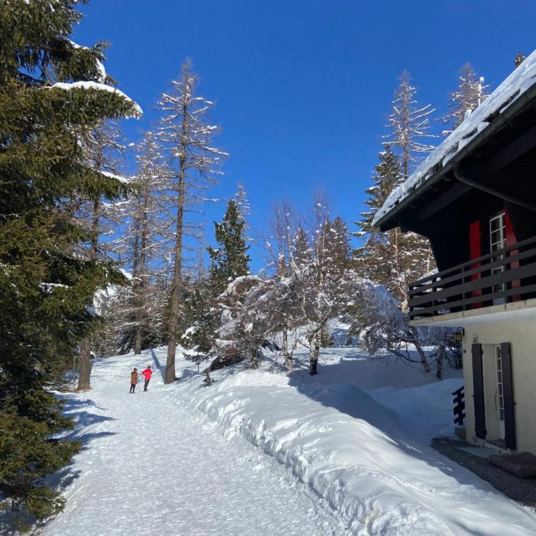 Chalet spacieux dans le Val Ferret - Chalet - 46
