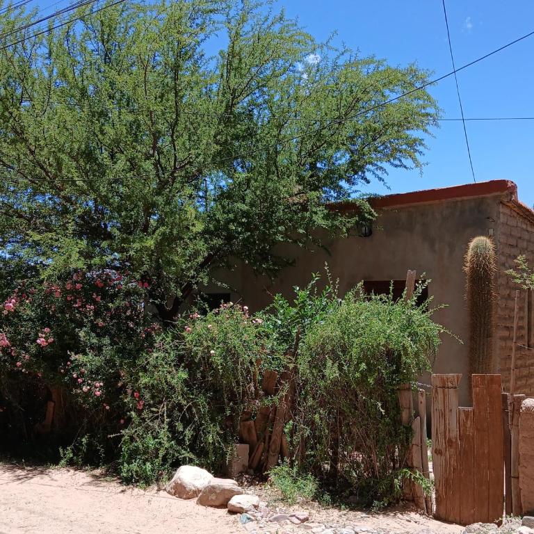 Pacha Wasi - Apartamento de 2 dormitorios - 1