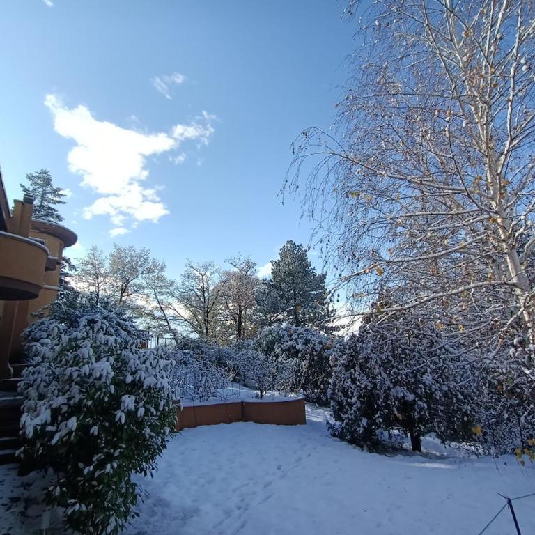 La Tana del Riccio - bilocale con giardino e Jacuzzi sulla collina di Aosta - Appartamento con 1 Camera da Letto - 44