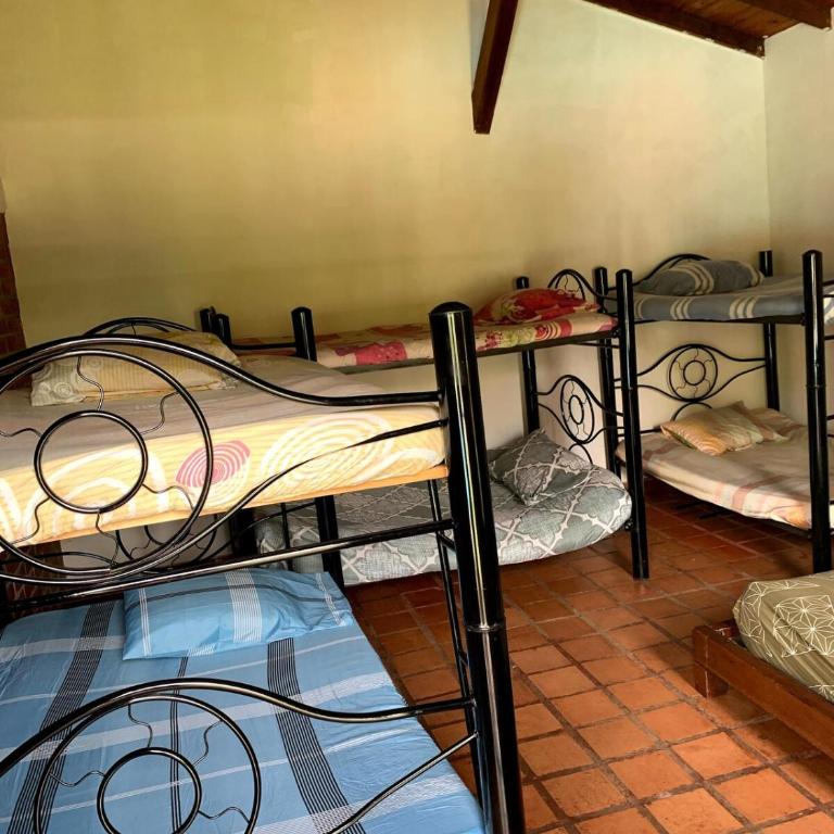 Finca Luciana - Casa de 4 dormitorios - 19