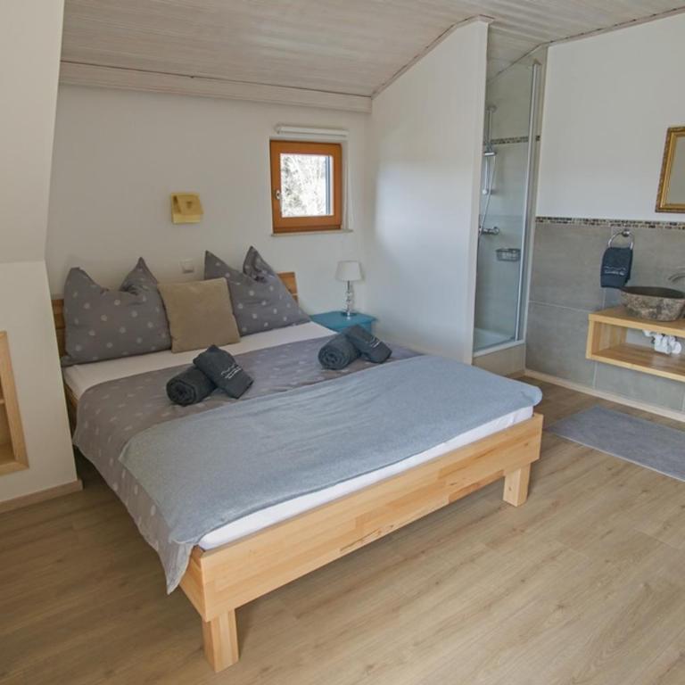Haus zum schlafenden Riesen - Apartment - 9