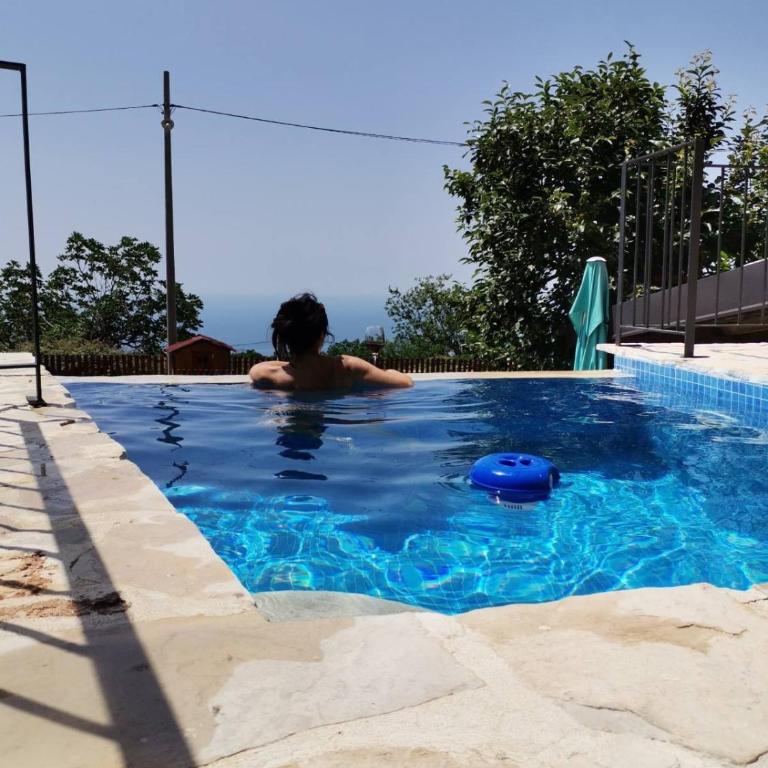 Old stone house with swimming pool Etno House Perazic - Two-Bedroom House - 3