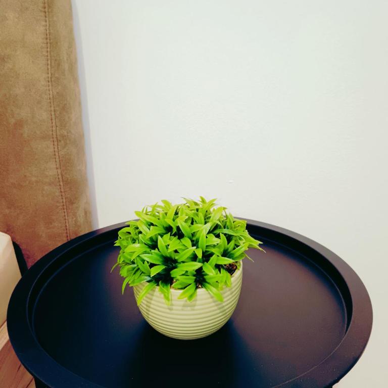 Alacaster B apartman - Apartman sa 1 Spavaćom Sobom - 16