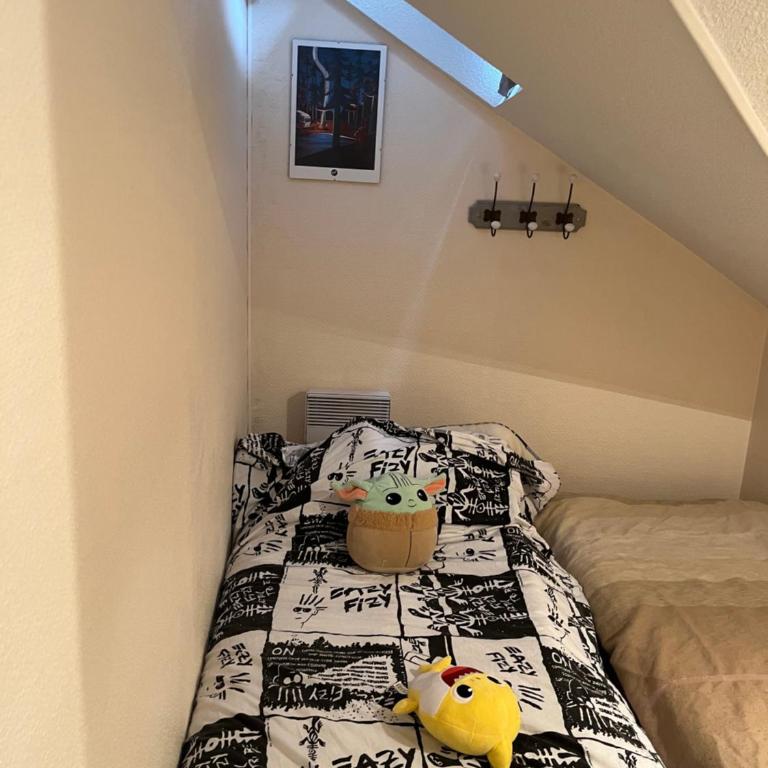 Charmant duplex en plein centre de Cauterets de 4 à 6 couchages et 2 chambres dont une sous-toit - Appartamento con 2 Camere da Letto - 7