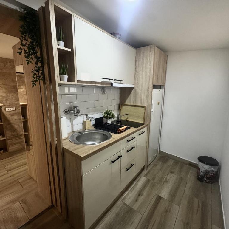 Entire Place In Zemun - Apartman sa 1 Spavaćom Sobom - 6