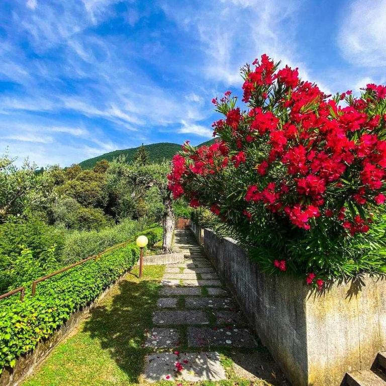 Villa Vittoriale - Appartamento con 1 Camera da Letto - 21