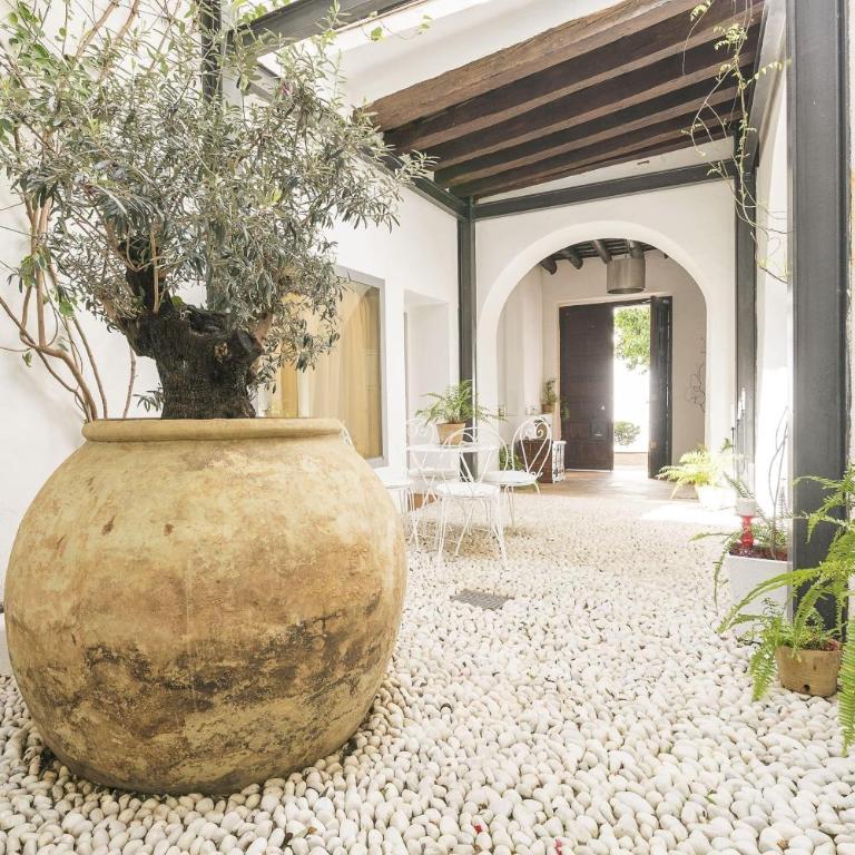 Mar Abierto B - Apartamento de 1 dormitorio - 31