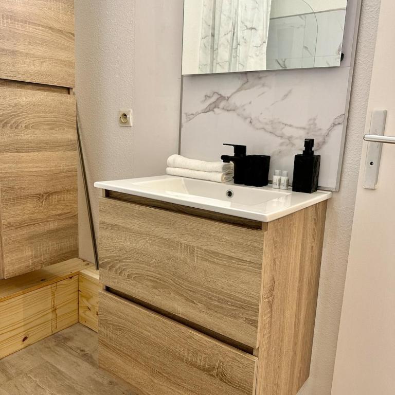 Studio MBS 1 - Cosy, Tram, Wifi, Parking, Equipé - Appartement 1 Chambre - 4