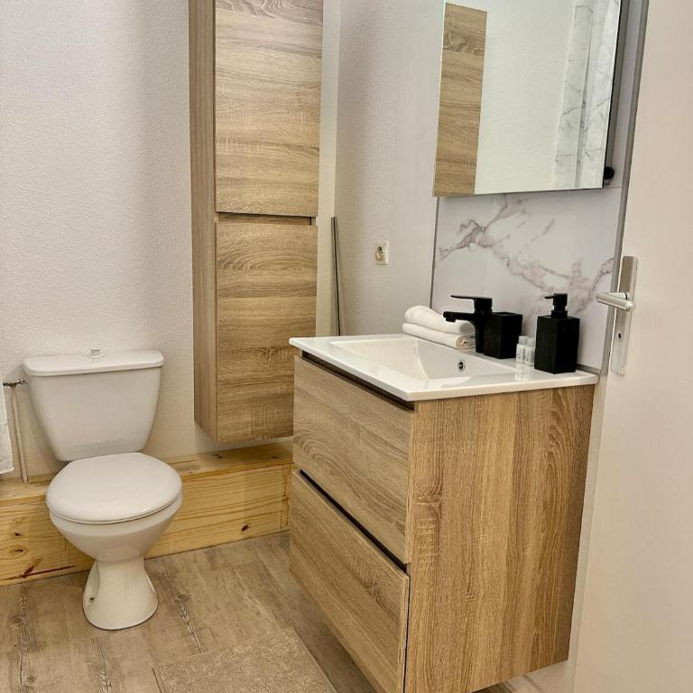 Studio MBS 1 - Cosy, Tram, Wifi, Parking, Equipé - Appartement 1 Chambre - 9