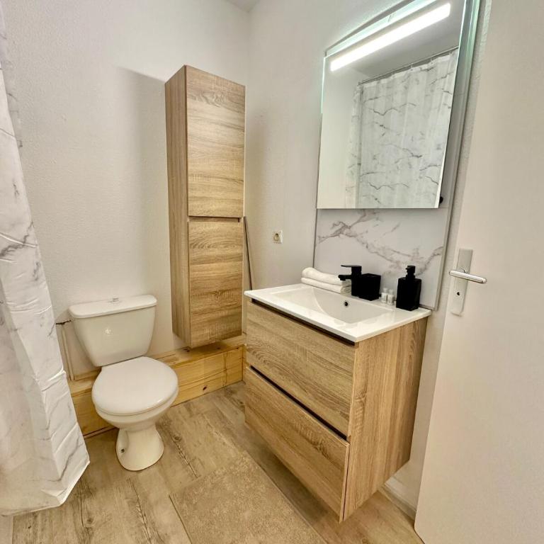 Studio MBS 1 - Cosy, Tram, Wifi, Parking, Equipé - Appartement 1 Chambre - 13