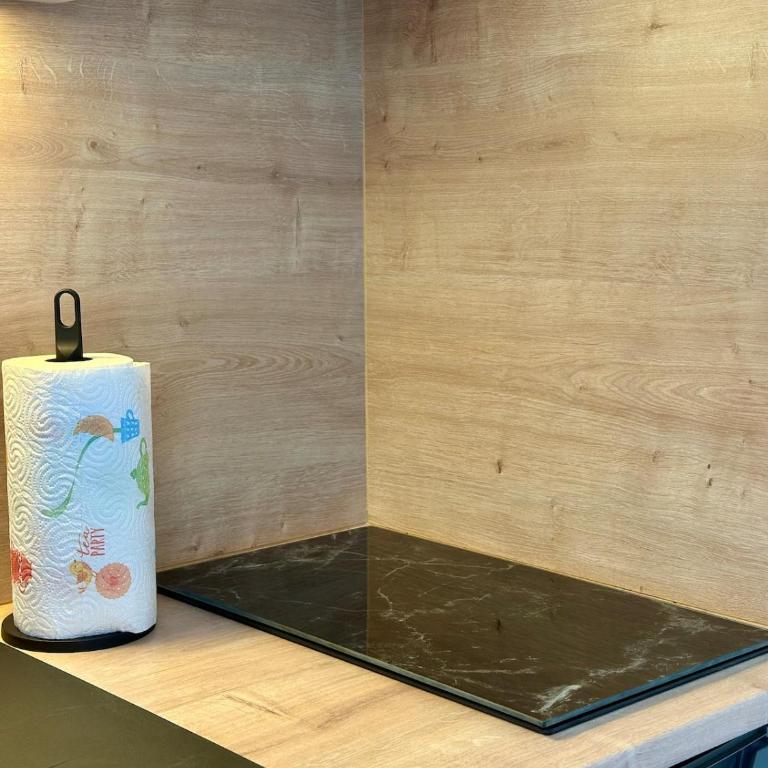 Studio MBS 1 - Cosy, Tram, Wifi, Parking, Equipé - Appartement 1 Chambre - 39