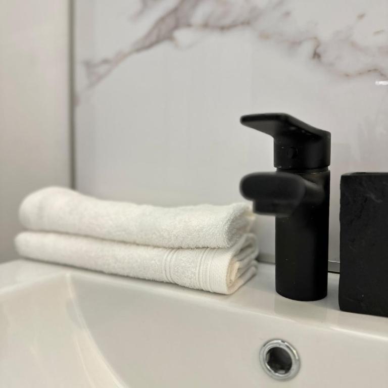 Studio MBS 1 - Cosy, Tram, Wifi, Parking, Equipé - Appartement 1 Chambre - 46