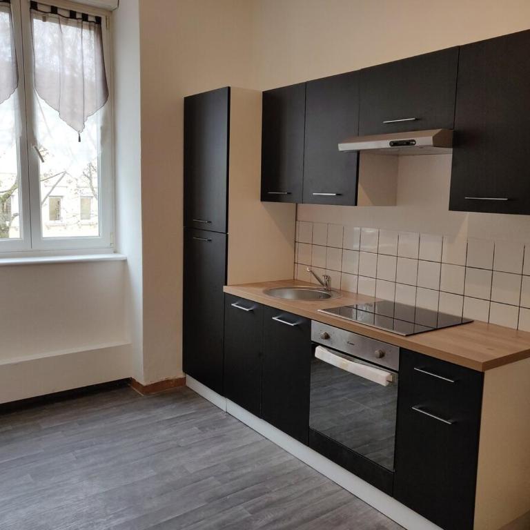 Grand appartement proche centre et tram - Appartamento con 1 Camera da Letto - 4