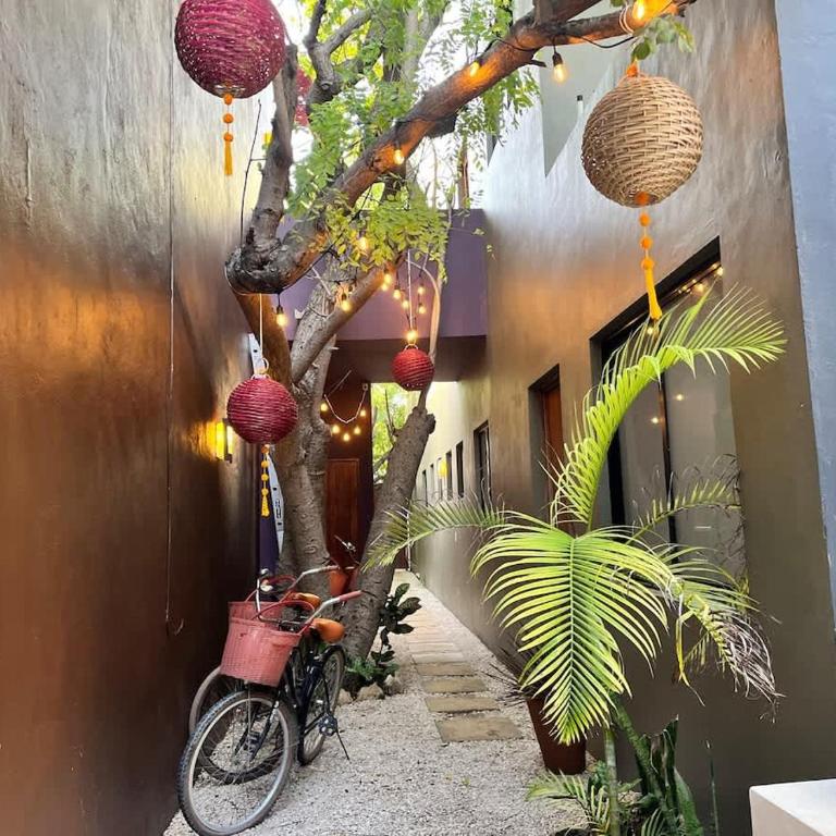 Downtown Tulum Cozy 1bd Apartment - Apartamento de 1 dormitorio - 6