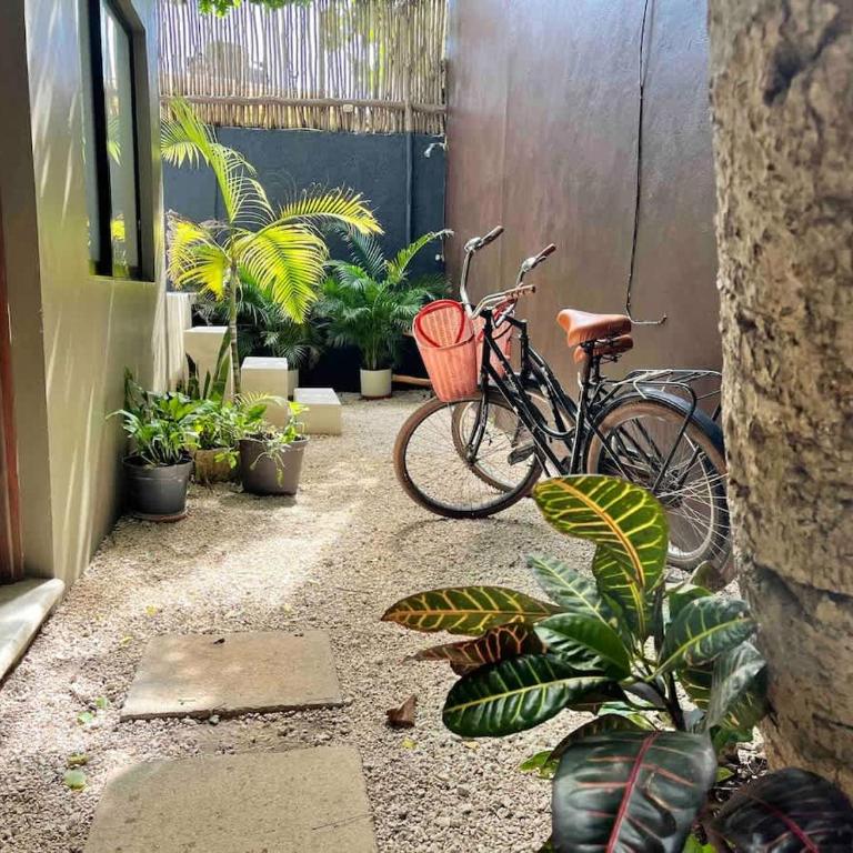 Downtown Tulum Cozy 1bd Apartment - Apartamento de 1 dormitorio - 14