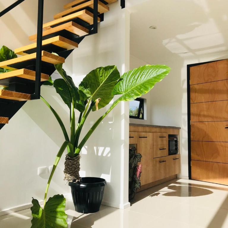Alojamiento para 2 con tinaja - One-Bedroom Apartment - 3