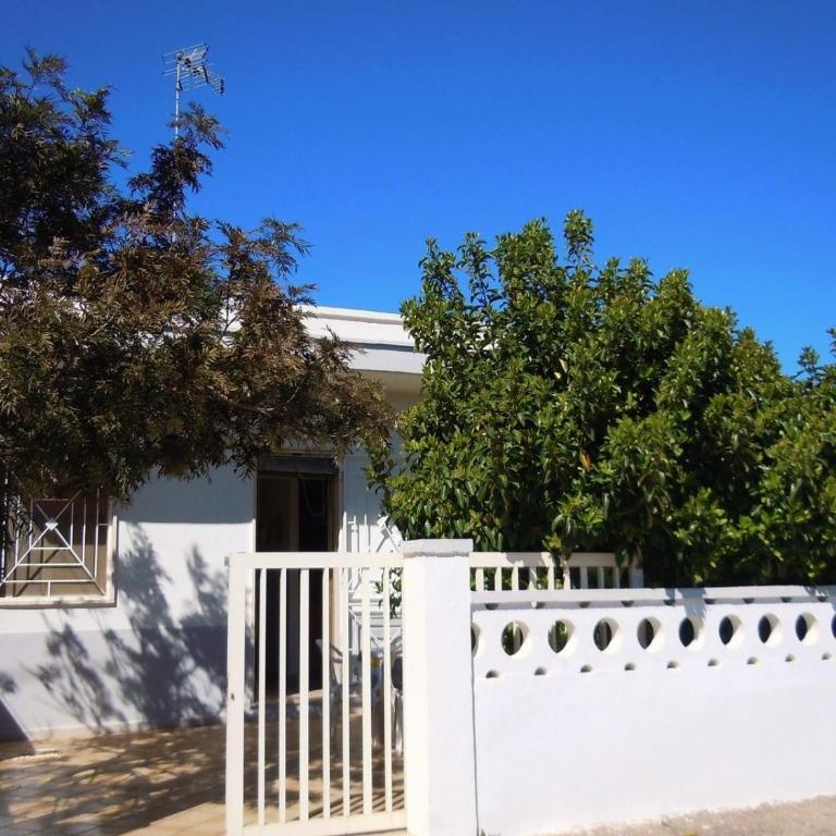 Prim-ore 2 - Two-Bedroom House - 1
