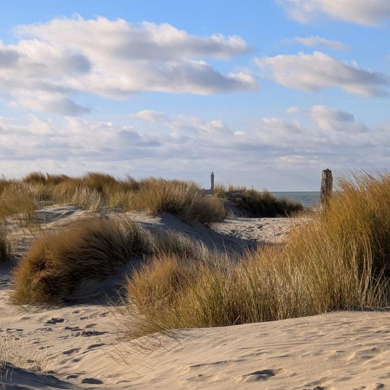 Ti Malo - Appartement proche plage Dunkerque - Apartamento de 1 dormitorio - 23