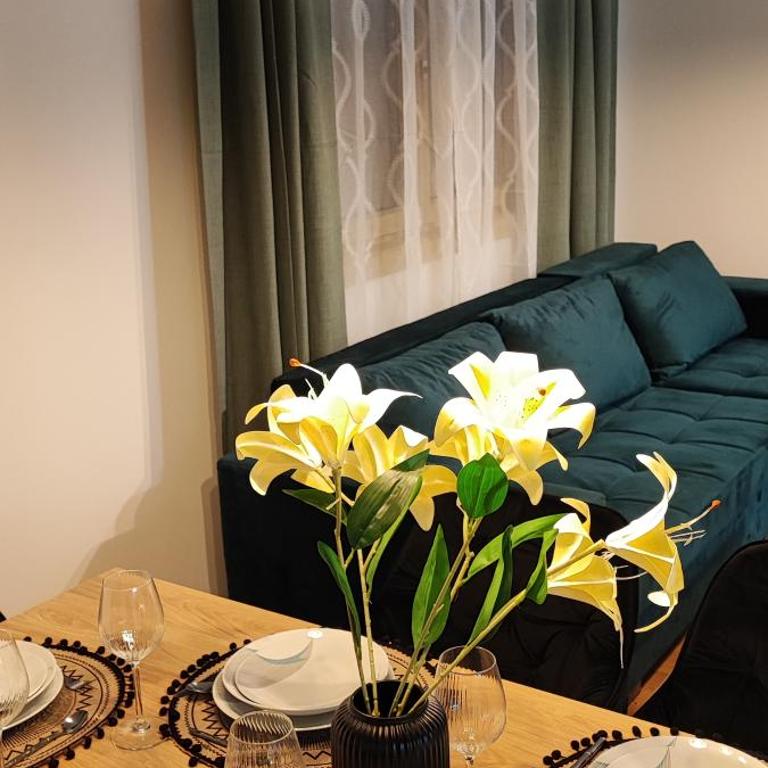 Planinski Biser - Spa & Lux Apartment - Two-Bedroom Apartment - 25