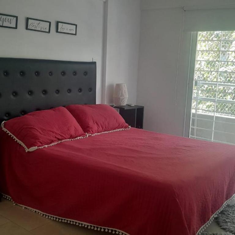 Jorge I - Apartamento de 1 dormitorio - 1