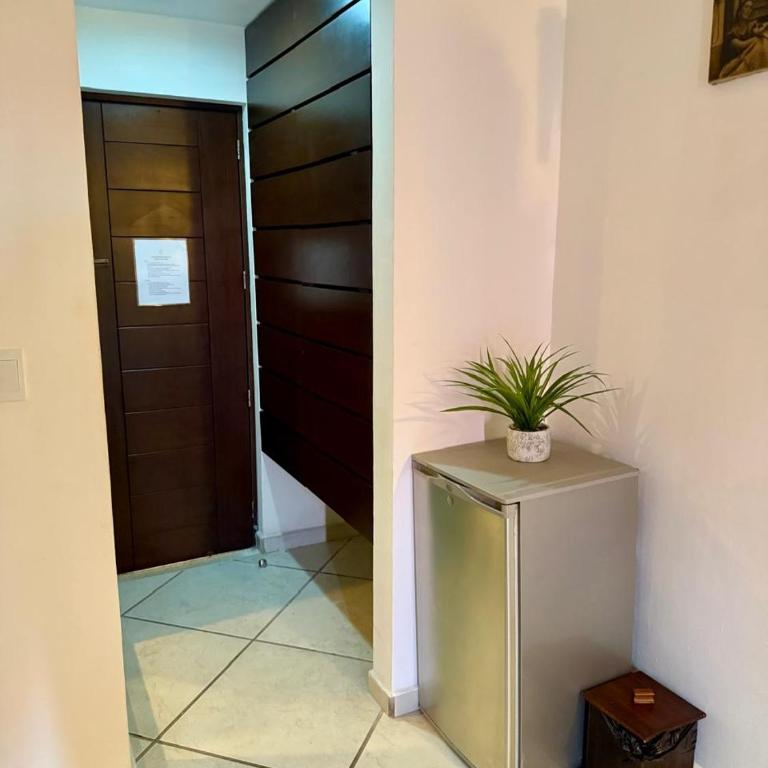 AMANÁA Hotel Boutique - Suite con cama grande y balcón - 21