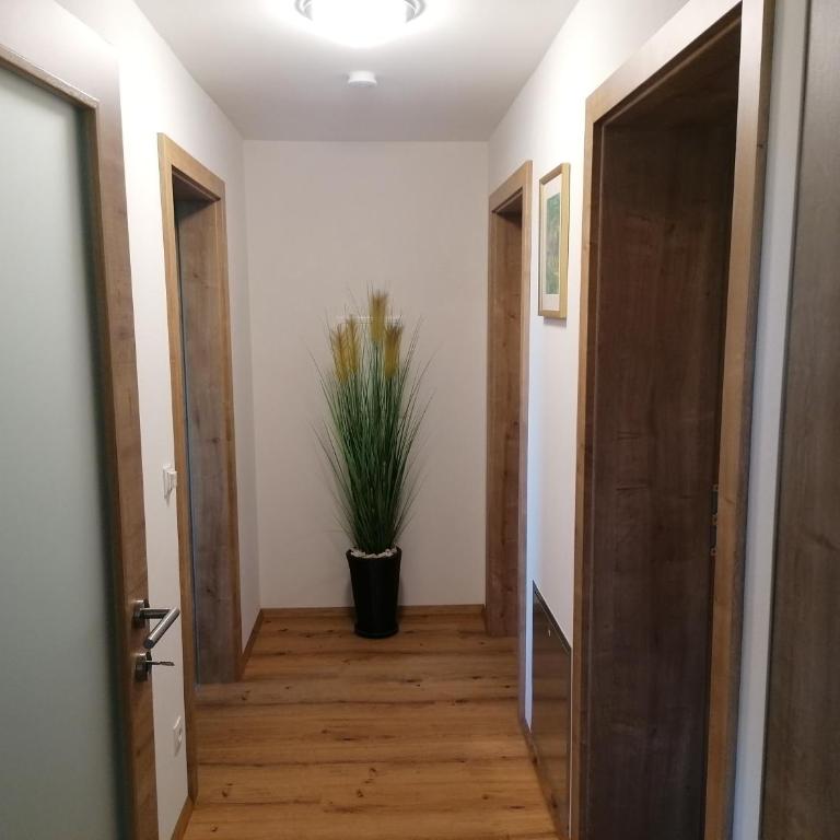 Ferienwohnungen Kumpitsch am Poharnigberg - Eorykogel - Apartamento de 2 dormitorios - 9