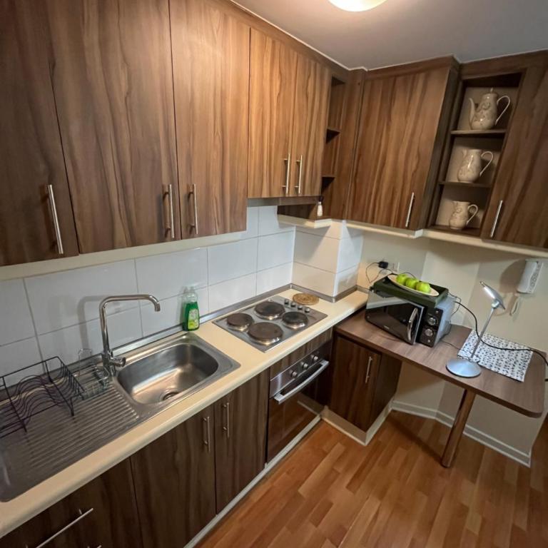 Departamento en osorno - One-Bedroom Apartment - 8