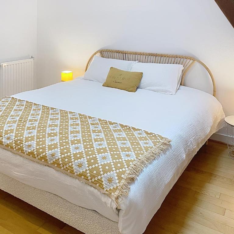 Le Bon'Appart au Cœur de Saumur - Appartement 3 Chambres - 28